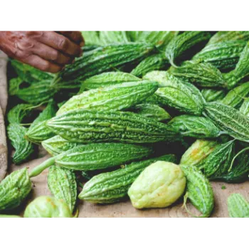 Natural Bitter Gourd